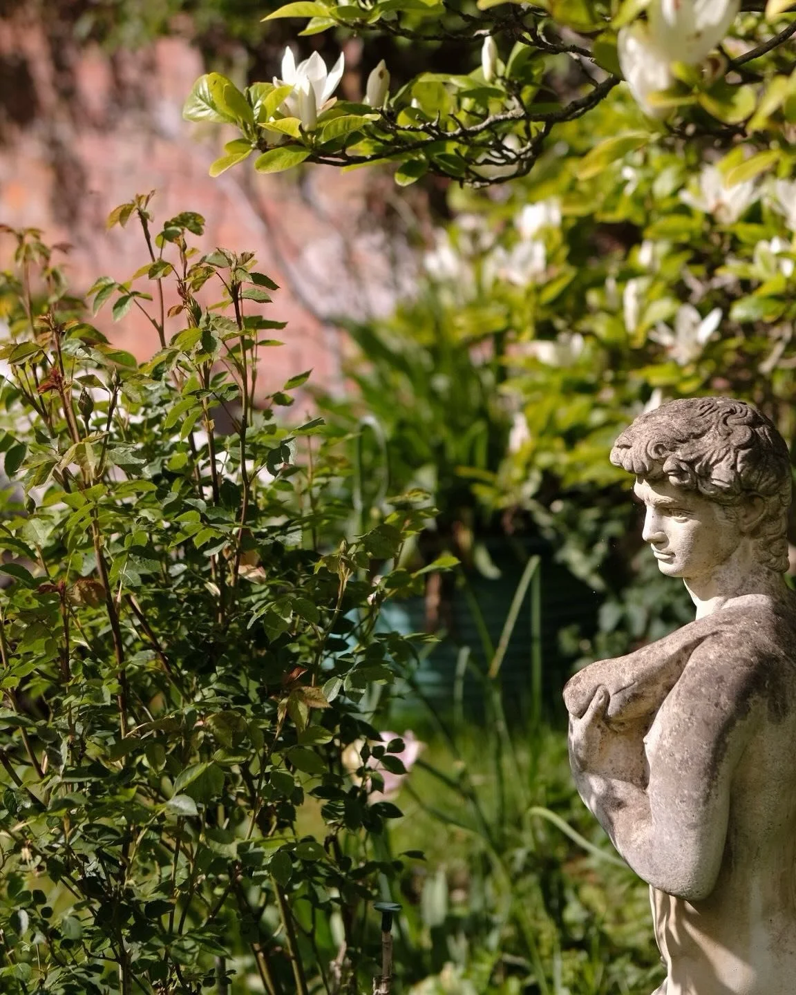 We absolutely loved the first-ever public opening of our Walled Garden here at Glenburn. 
The kind &amp; generous enthusiasm shown by our visitors has left our hearts full &amp; ready to do it all again on Sunday 19th July (2pm
- 5pm) 
Many thanks to
