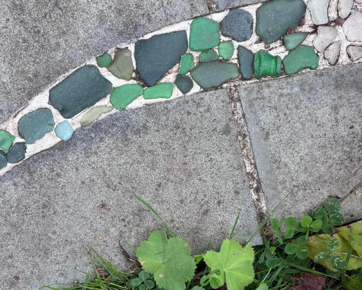GreenSeaGlassWithLadiesMantlePlant.jpg