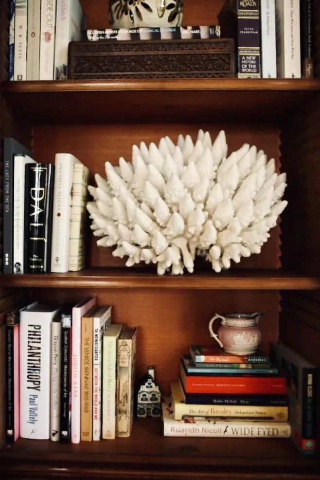 HomeBookshelfCollectionWithCoral.jpg