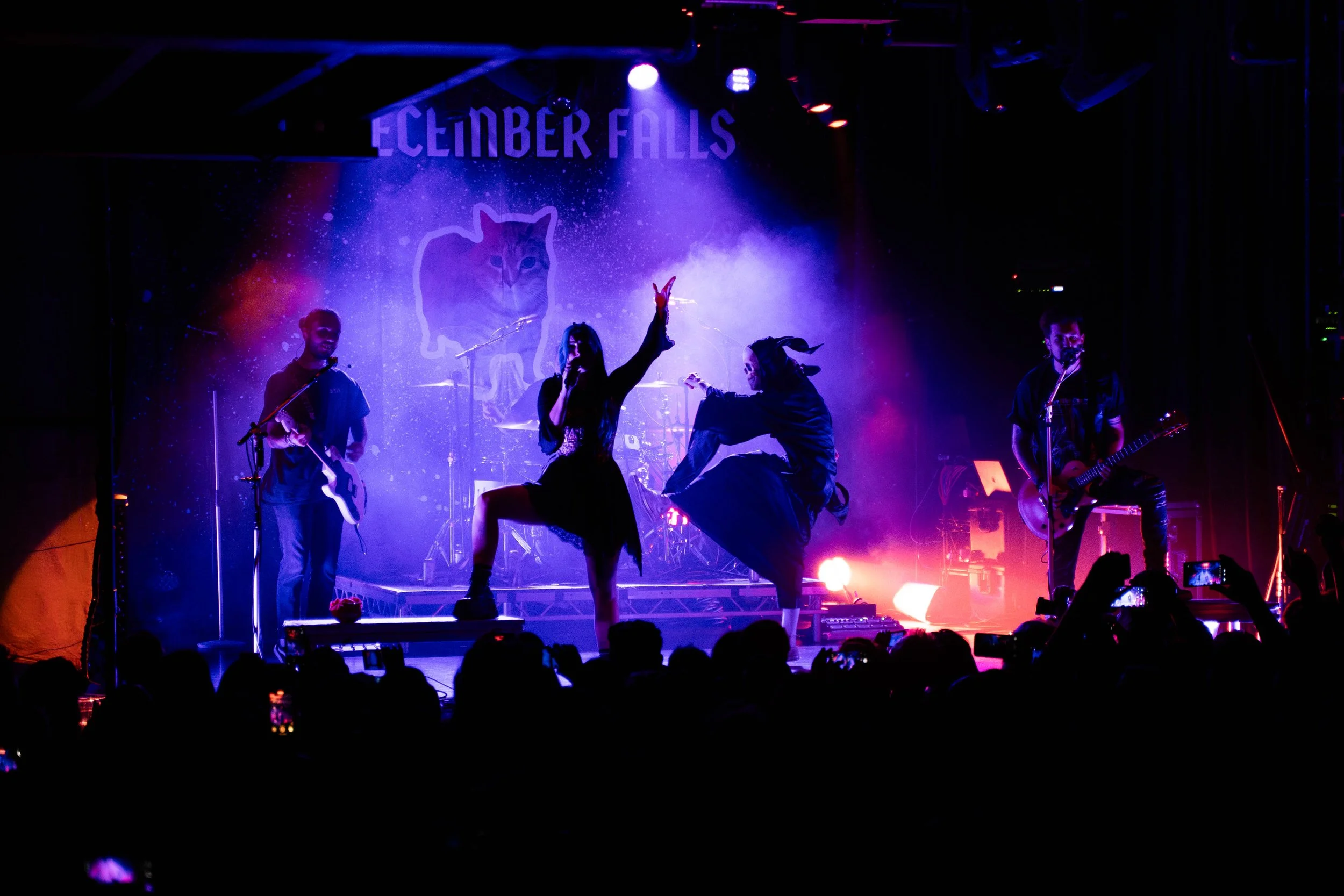 A band performing on stage with colorful lighting, audience in silhouette, and a large backdrop featuring a cat and the text 'December Falls'.