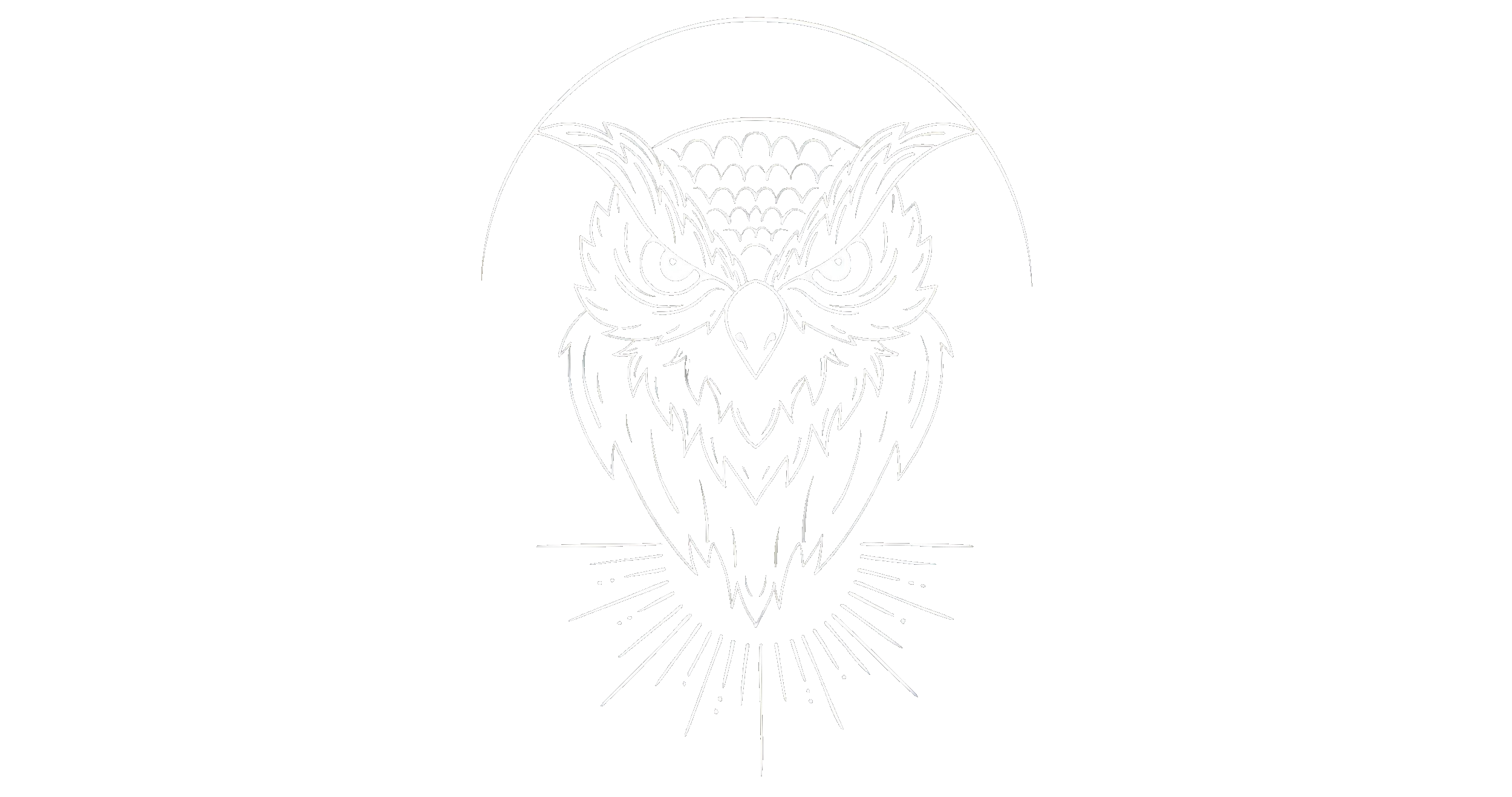 White line art of an owl with a moon in the background, on a black background.