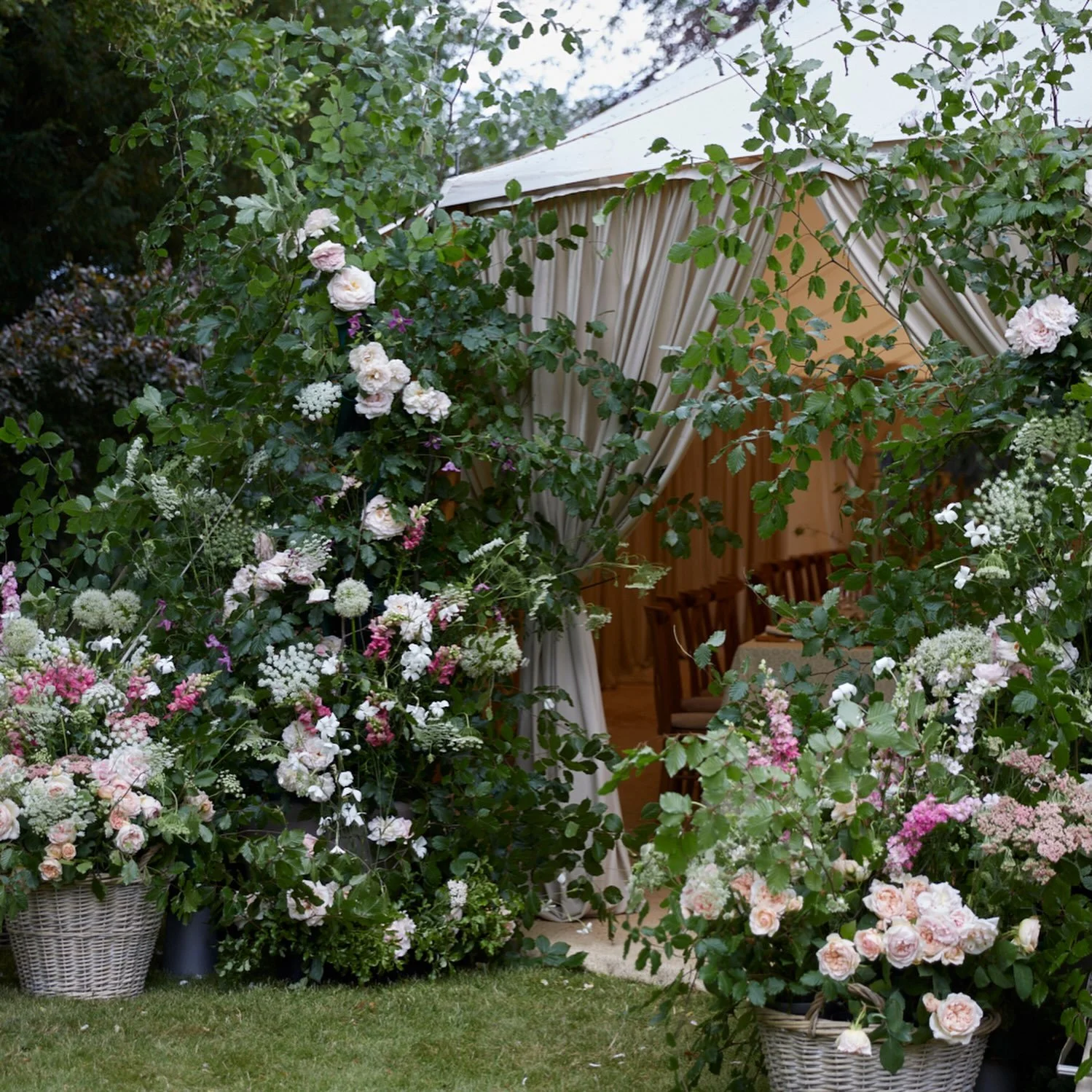 Making an entrance &hellip; 🌸🌸🌸

📷 @britt.willoughby.photography 
@sailtentcompany 
@johnnyroxburghdesigns 

#kglflowers #juneweddingflowers #gardenweddings #britishflowers