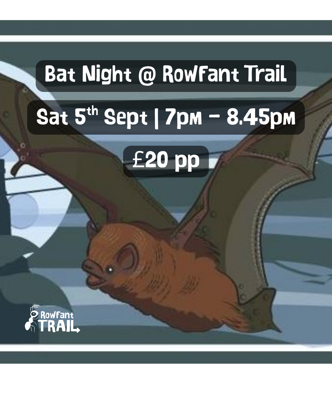 Guided Bat Walk with Michael Blencowe.png