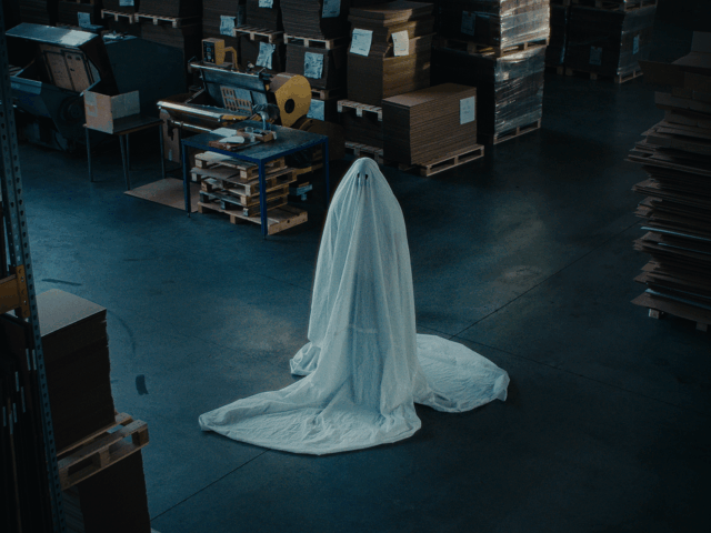 HaamuGIF1.gif