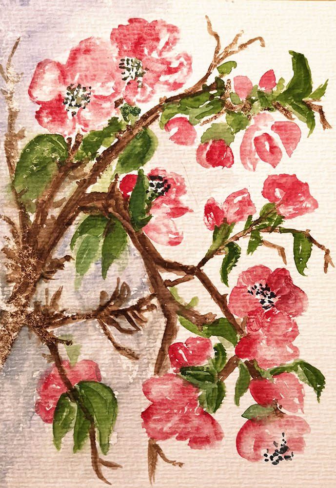 Blumen_34.jpg