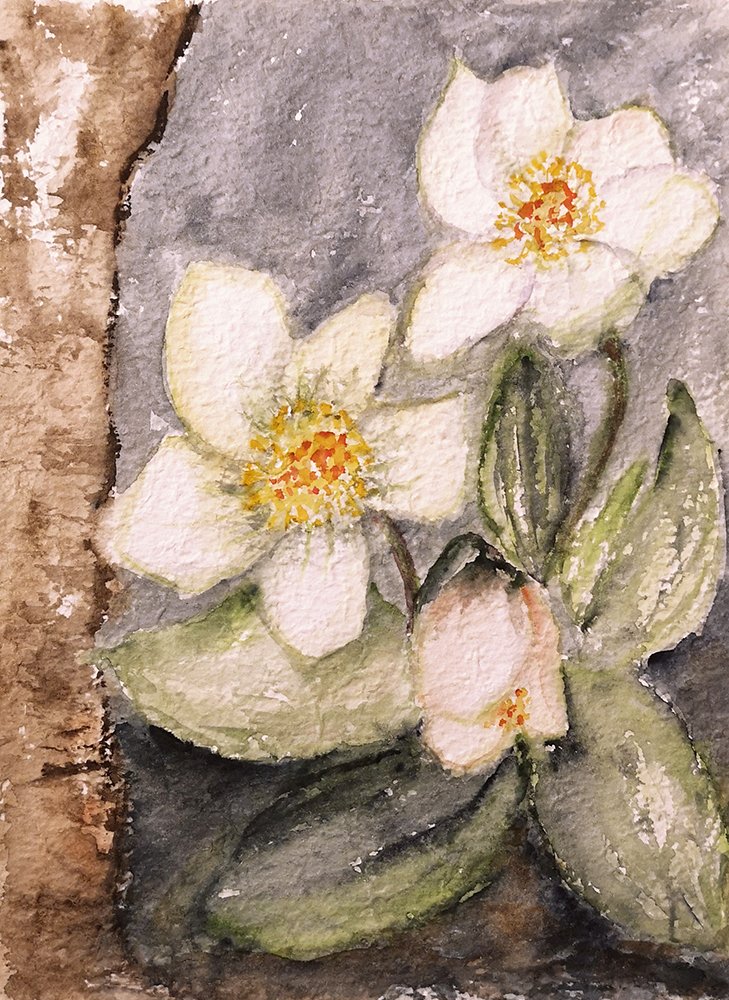 Blumen_26.jpg