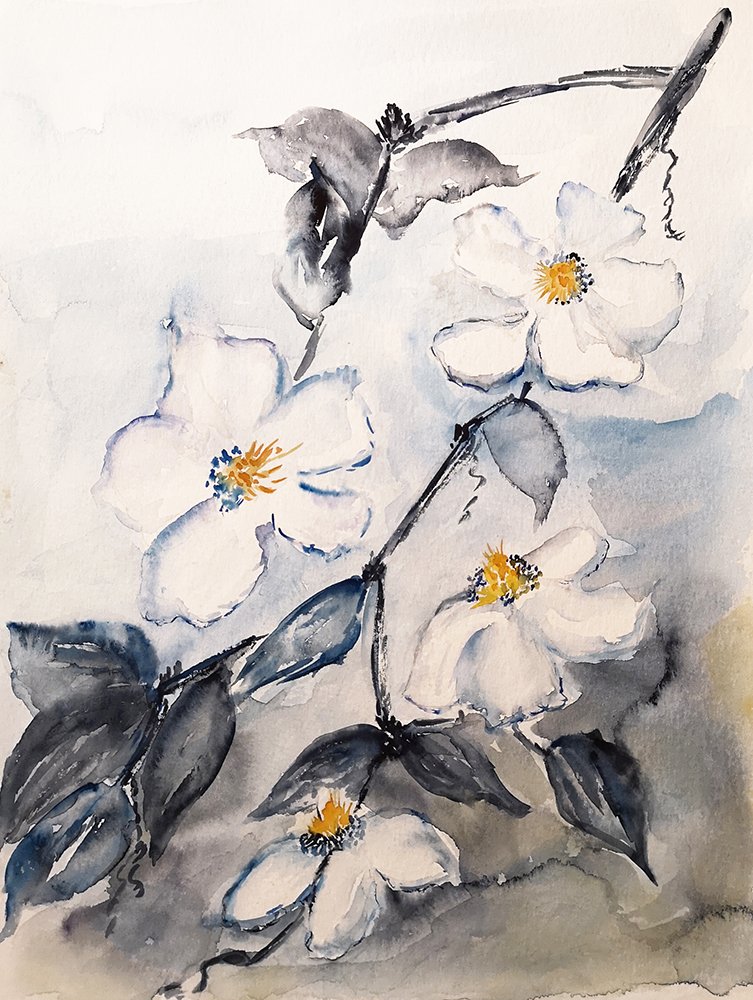 Blumen_43.jpg