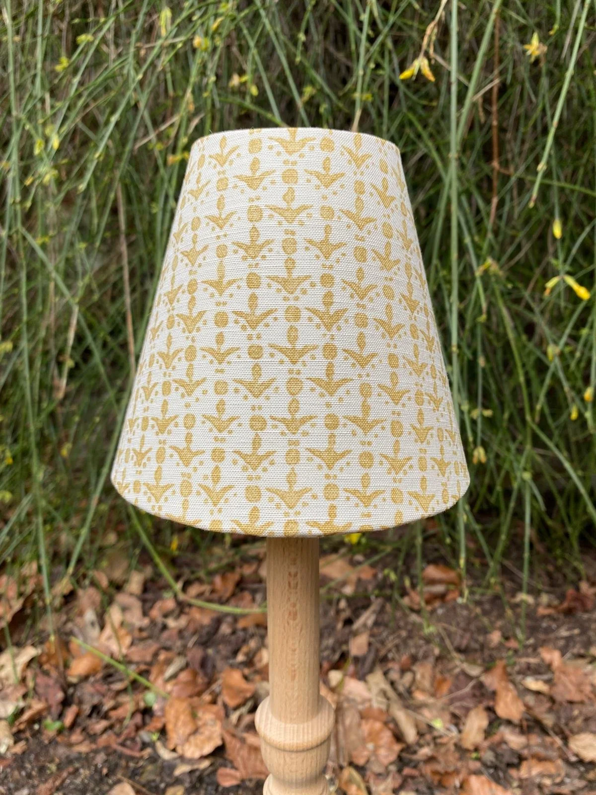 WhatsApp Image 2026-02-19 at 14.46.23 (2).jpeg