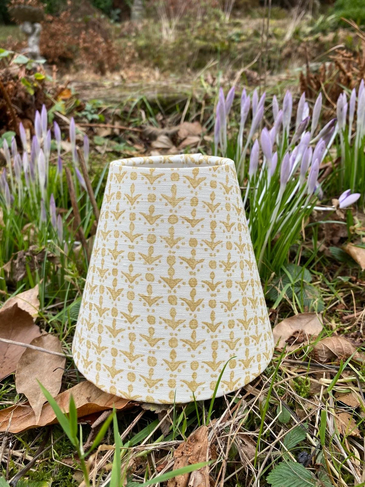 WhatsApp Image 2026-02-19 at 14.46.23.jpeg