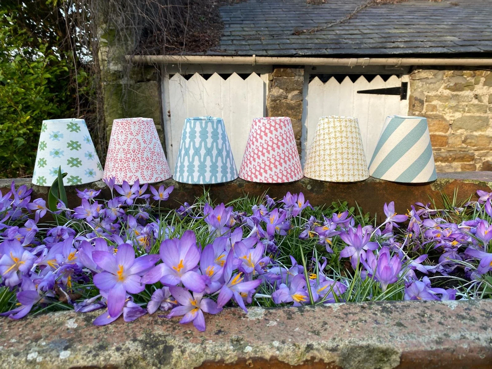 WhatsApp Image 2026-03-05 at 15.02.23 (3).jpeg