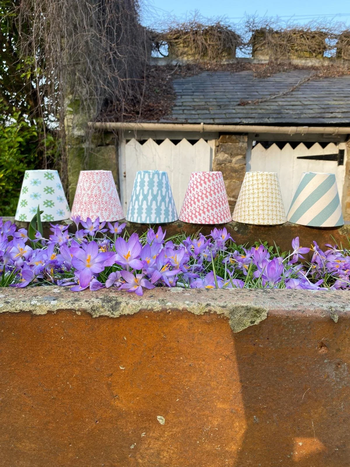 WhatsApp Image 2026-03-05 at 15.02.24.jpeg