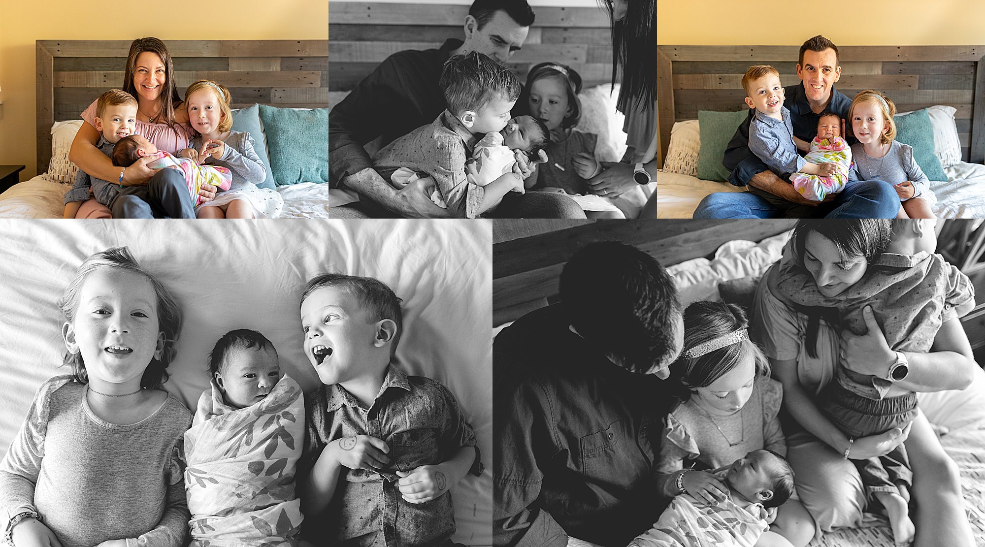  newborn photography with siblings 