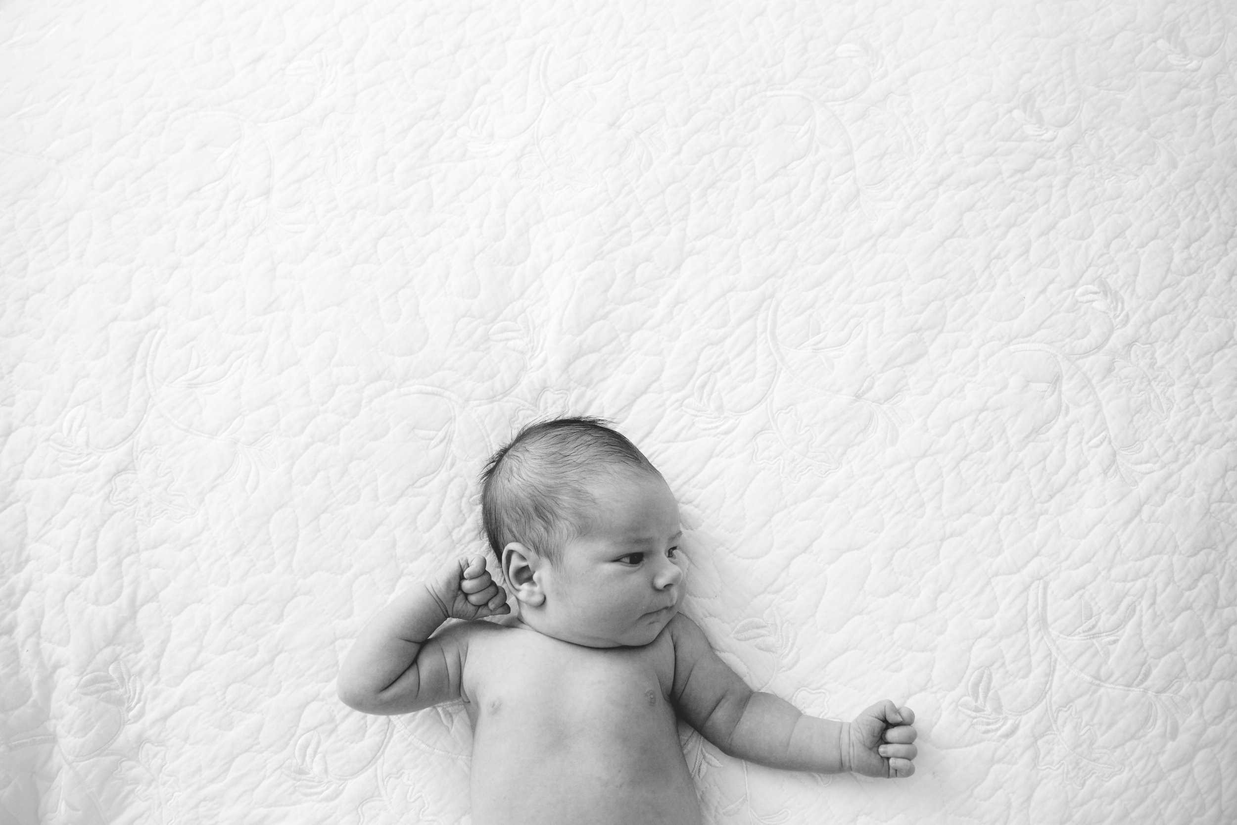 Tracy Lynn Photography - Houston Newborn Photographer - Tharpe-177.jpg