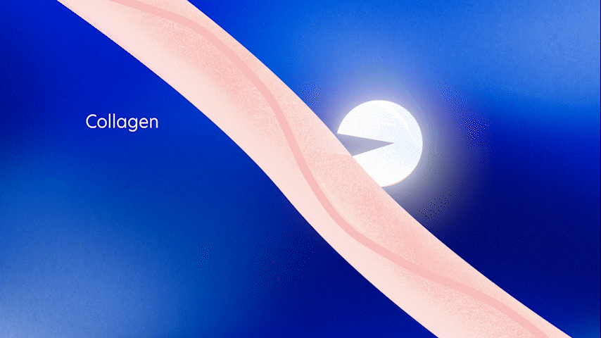 Illustration showing collagen fibers in the skin with a moon in the background, highlighting collagen's role in skin structure.