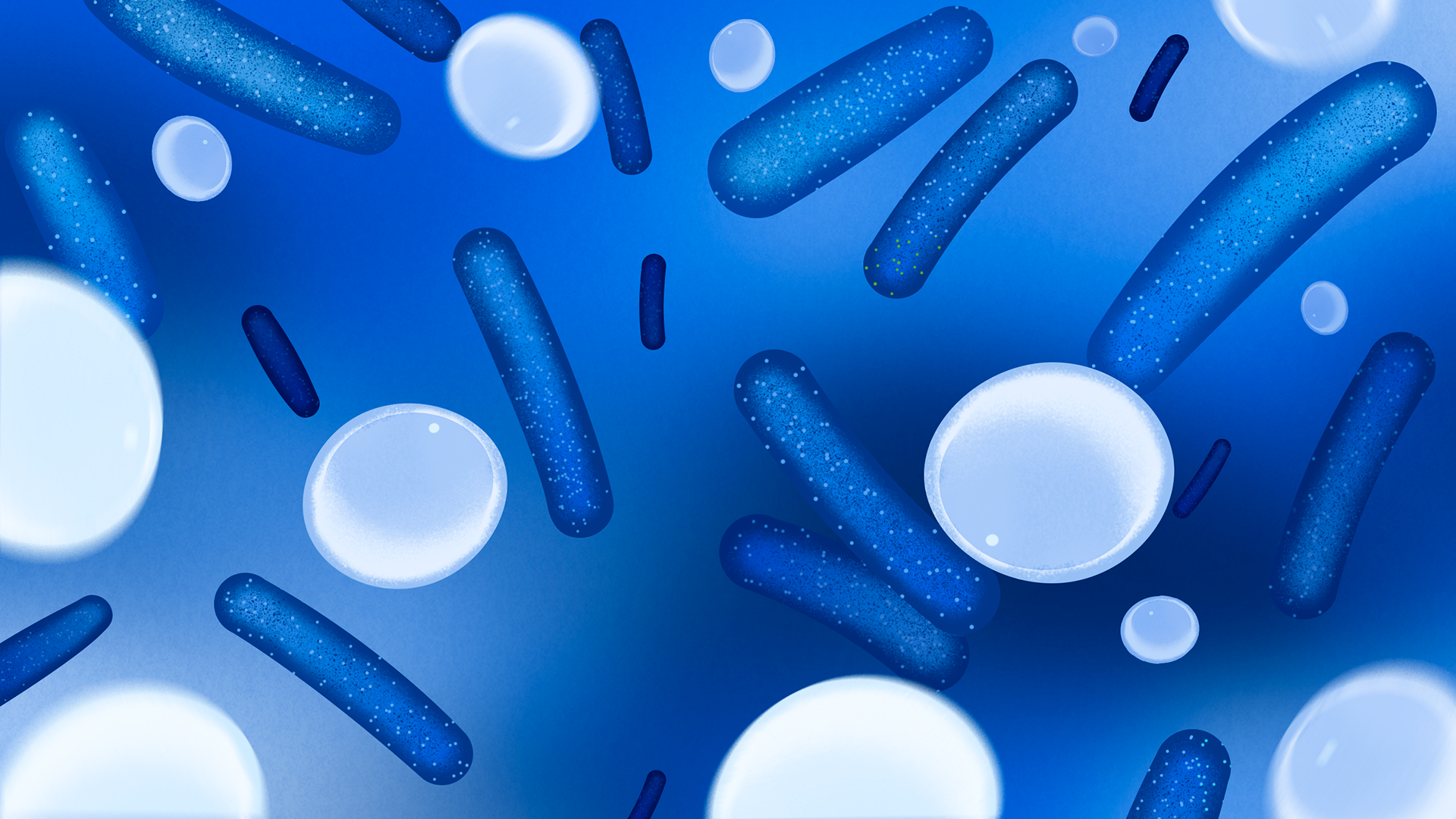 Digital illustration of bacteria with rod-shaped and spherical forms on a blue background.