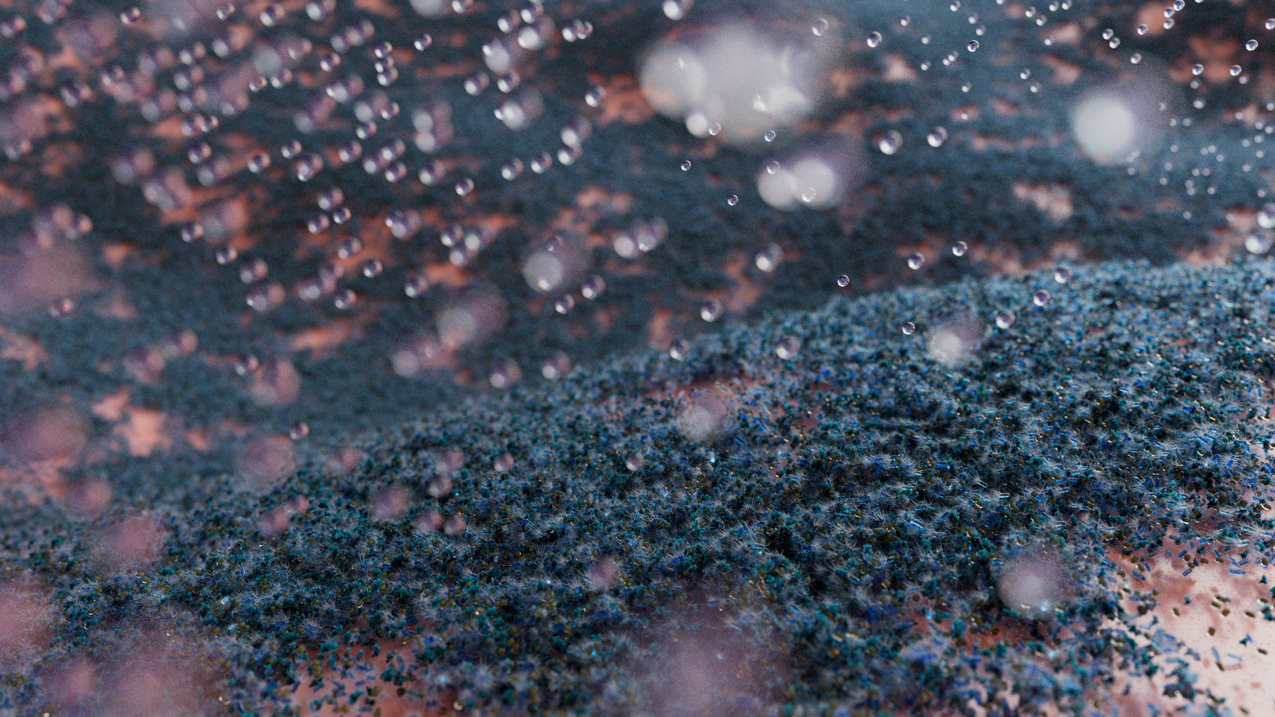 close-up of blue and purple mold growth with water droplets