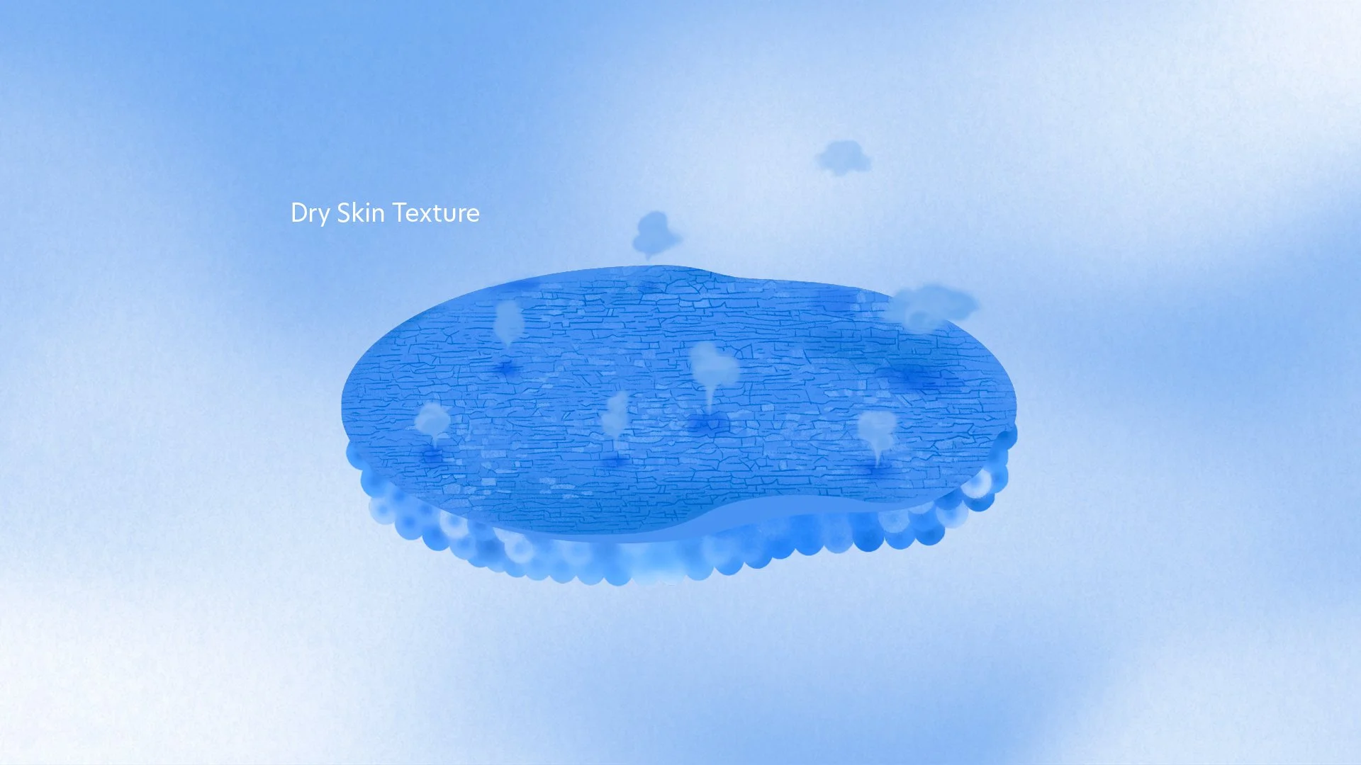 A jellyfish with a transparent, bell-shaped body and long, trailing tentacles, floating underwater.