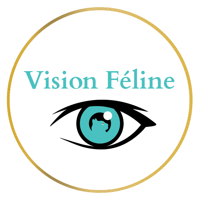 Vision Féline 