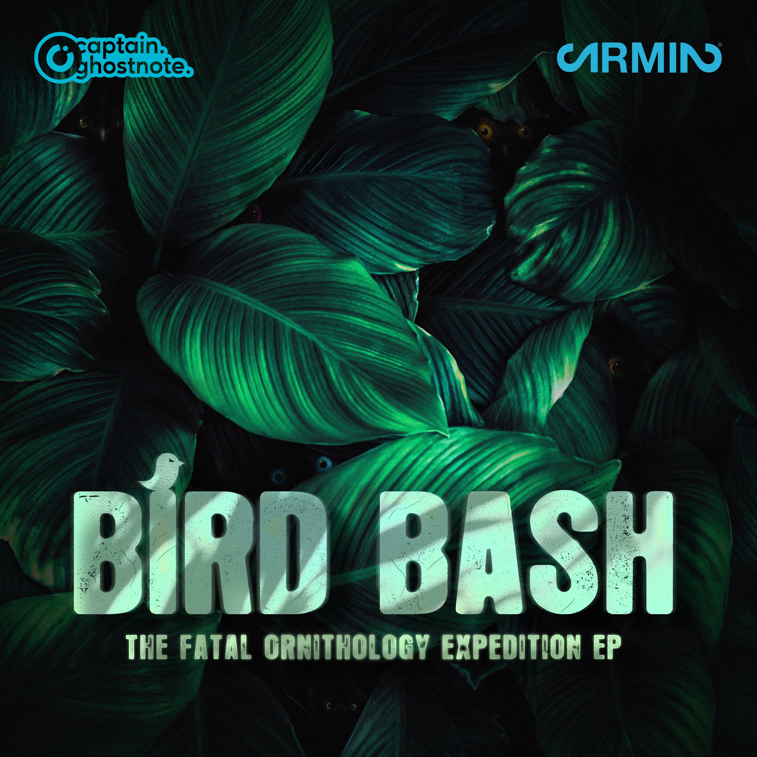 BirdBash_Cover.jpg