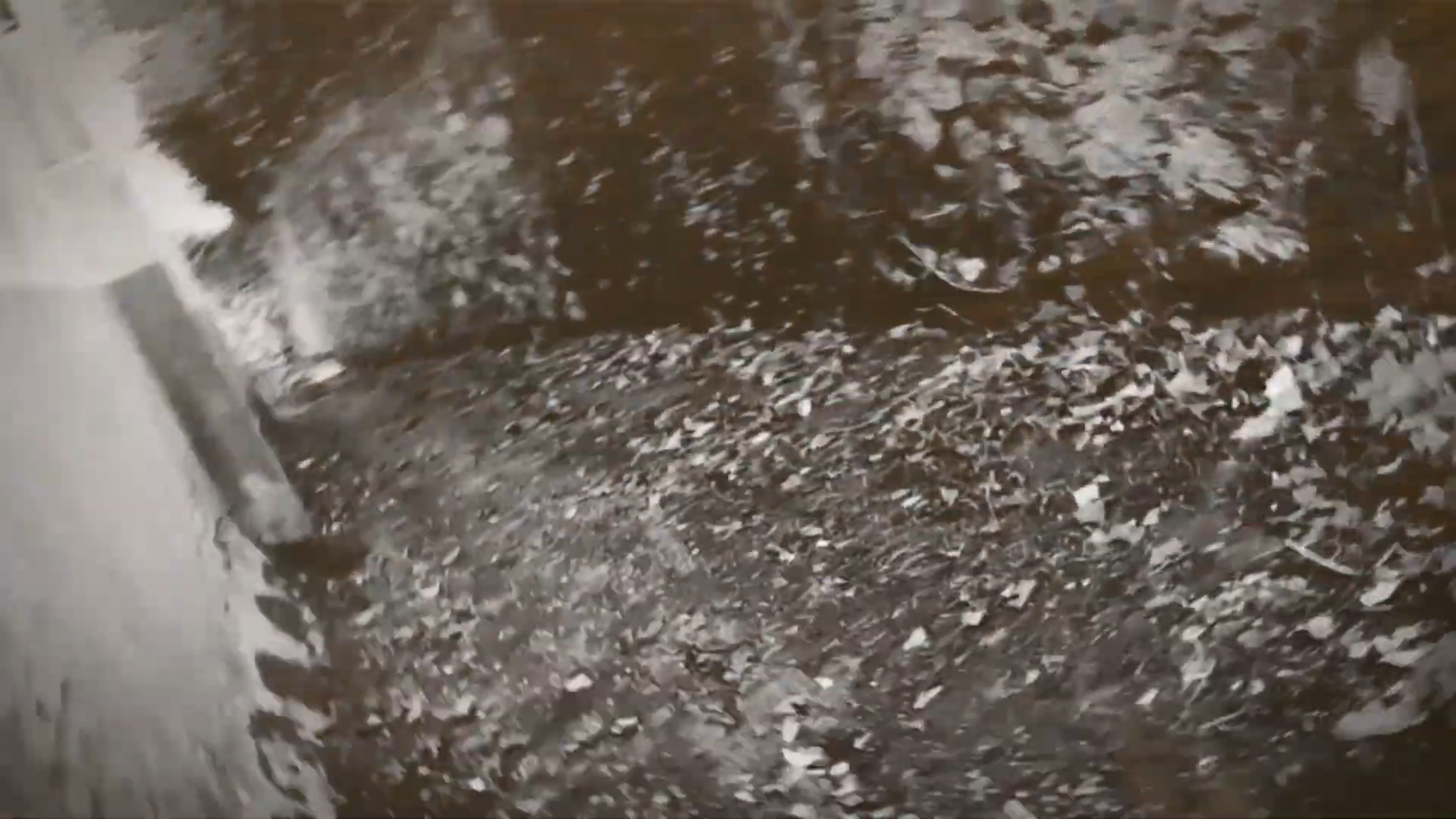 Bardial - SanTu II - Official Video