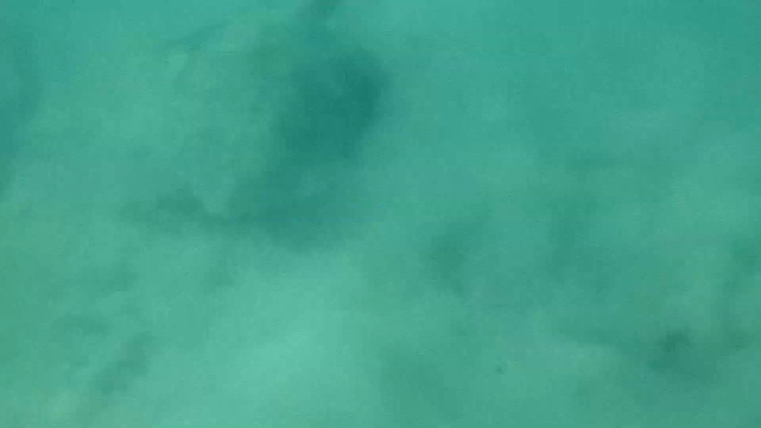 Movement81 Thirtyº - colour video (official)