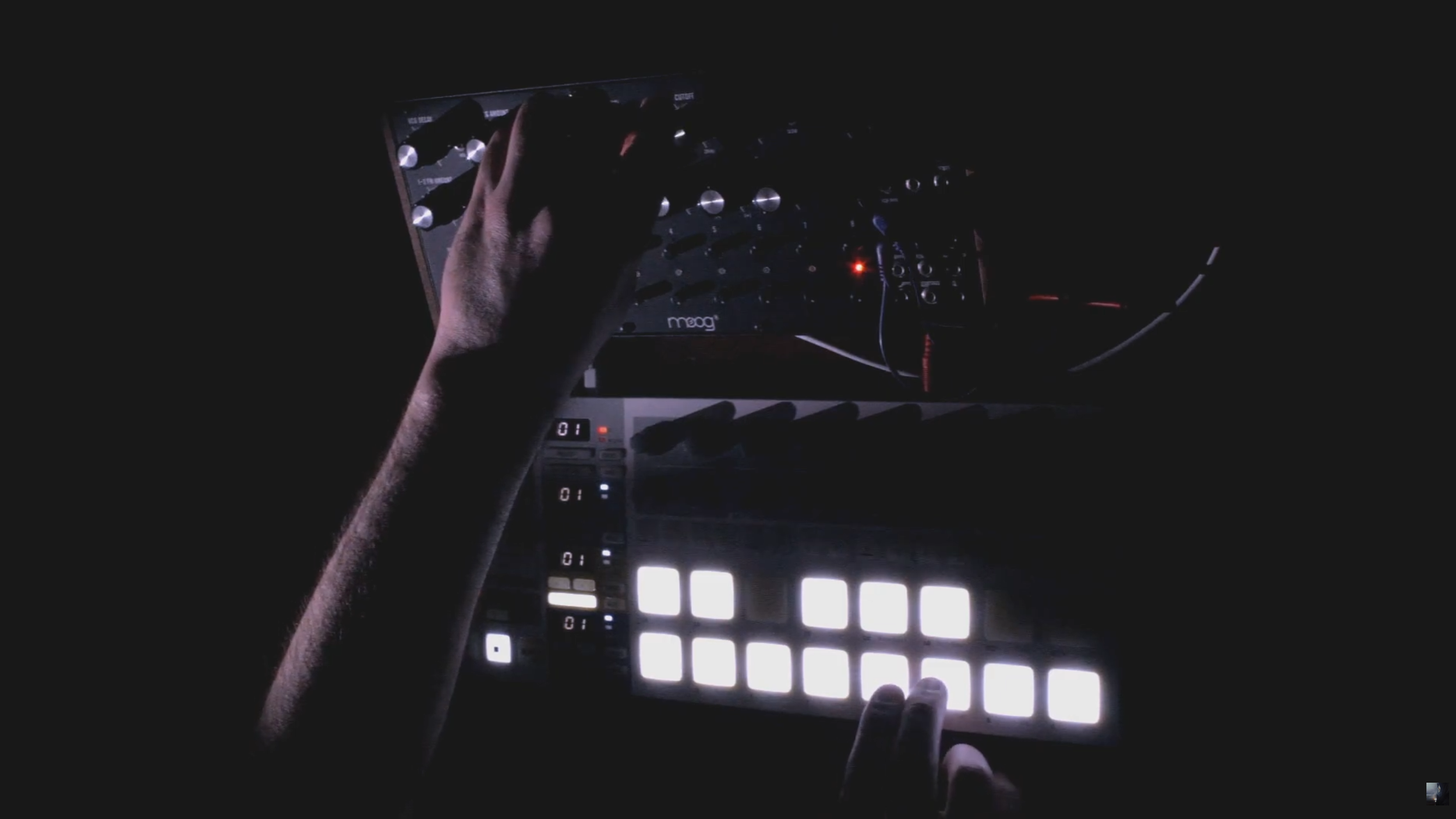 Ambient Looping with Moog DFAM