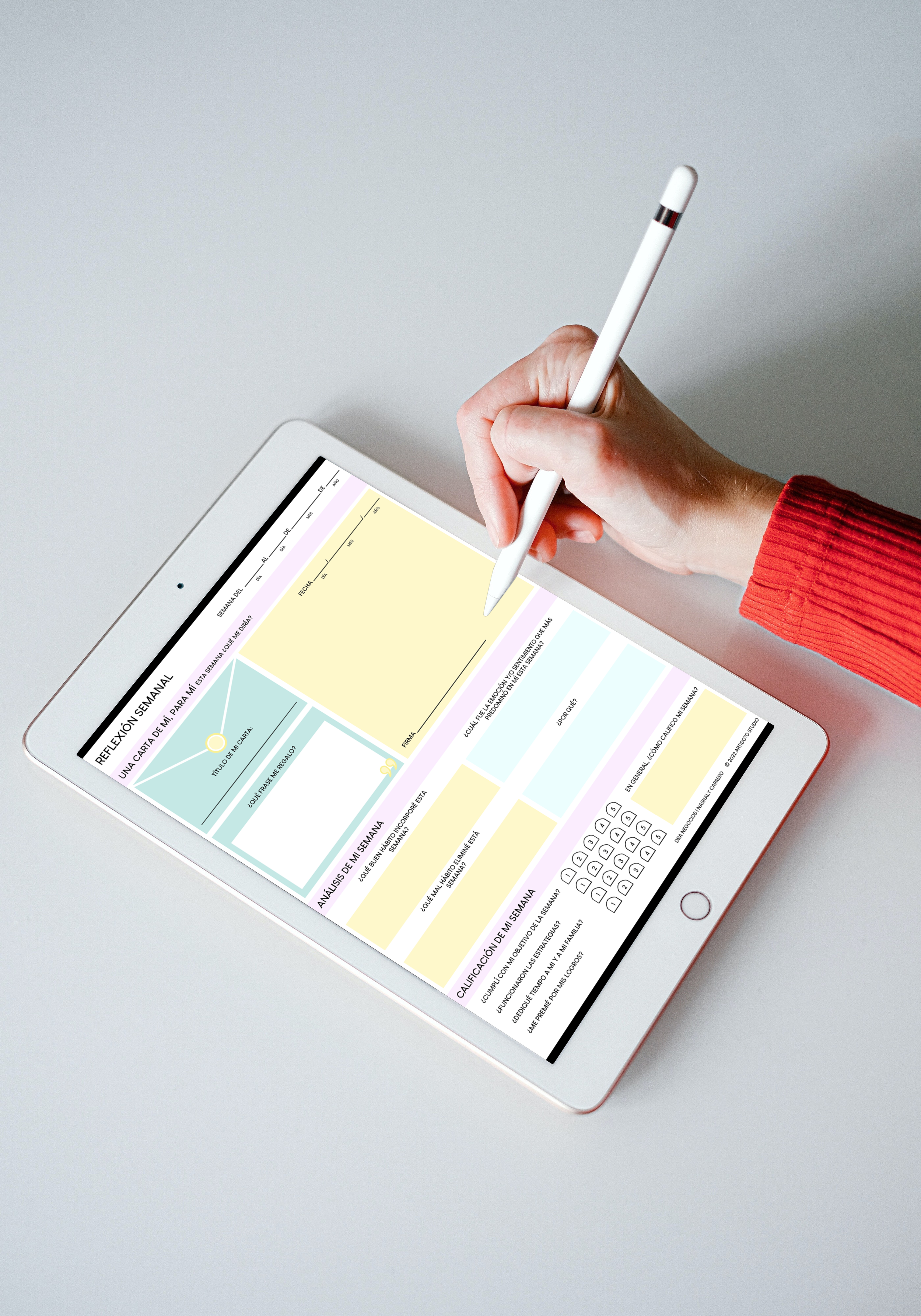 Woman using iPad and Apple Pencil _Captura de pantalla 2022-12-13 a la(s) 3.48.29 p. m..png