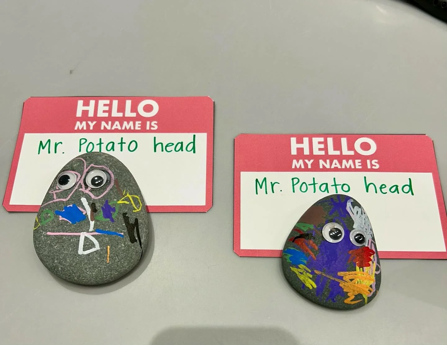 We made pet rocks in honor of the library&rsquo;s 50th yesterday! #norwellma #pettock