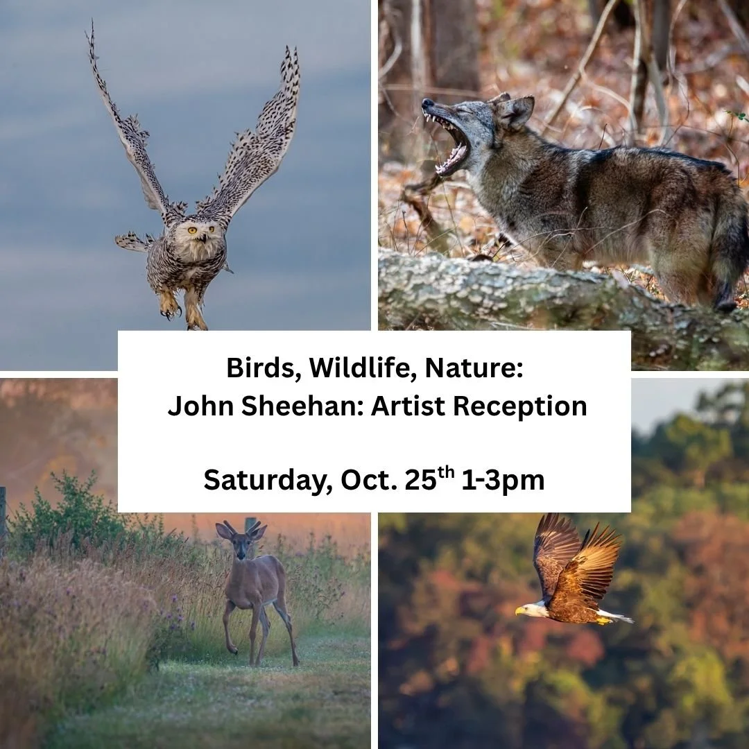 Here is your chance to meet and talk to local nature, wildlife and sports photographer John Sheehan on October 25th! John Sheehan's art is available to view in the library's meeting room throughout the month of October. 

Registration for this event 