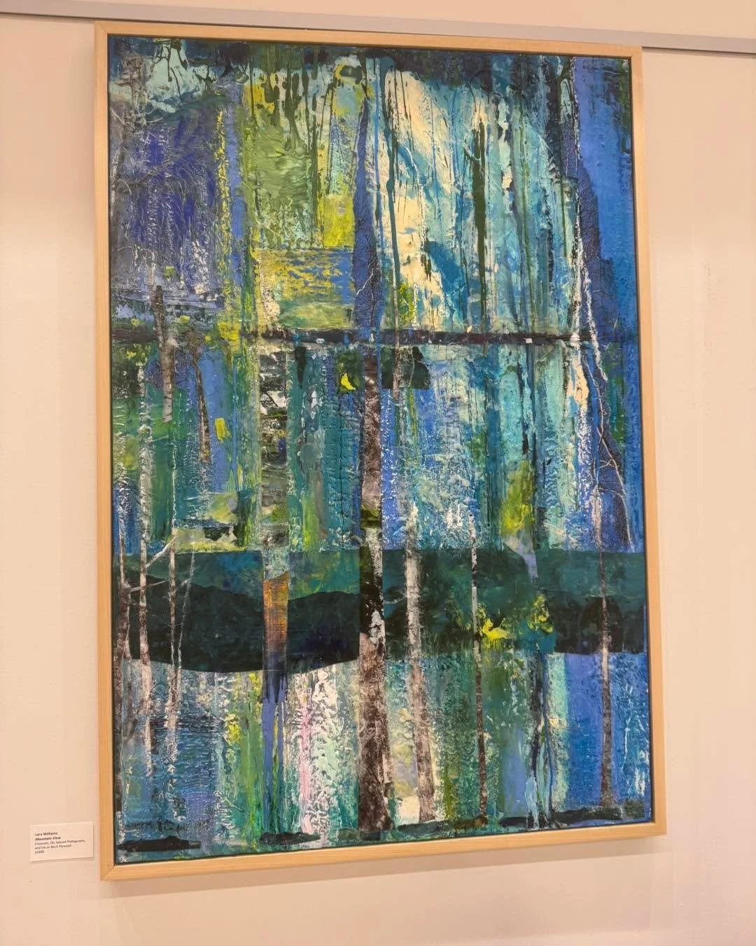 Lara Williams will be hosting an art reception for her exhibit Unearthed this Saturday, November 8th.

Drop in anytime between 1pm and 3pm for a chance to meet the artist. Light refreshments provided.

https://norwellpubliclibrary.assabetinteractive.