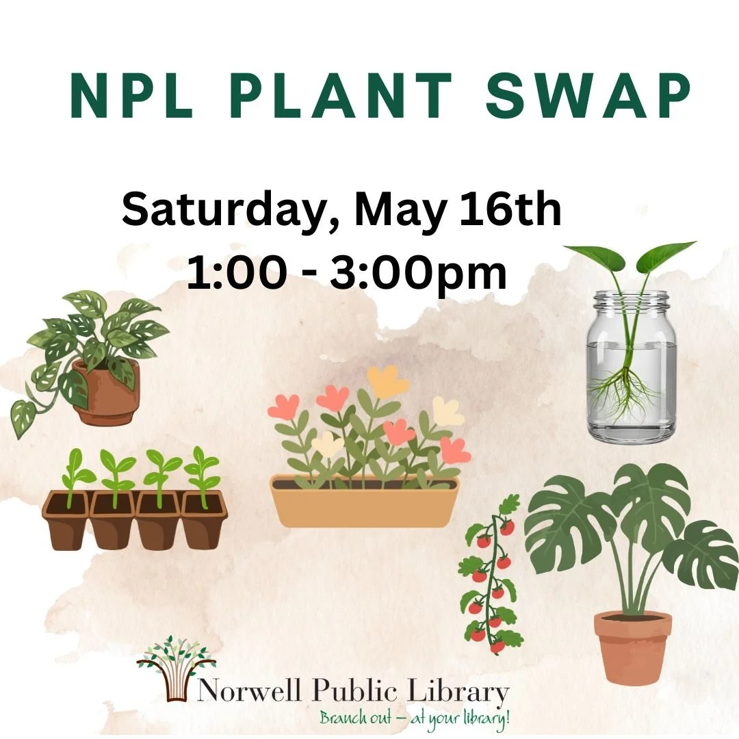 It's time for our annual Plant Swap! This fun drop-in event happens:

NPL Plant Swap
Saturday, May 16th, 1:00&mdash;3:00 PM

 Meet us in the staff parking area we will have tables set up for the swap.

Participants are invited to leave a plant and ta