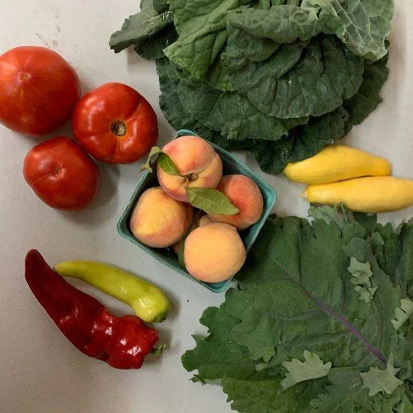 mid aug half 2020.jpg