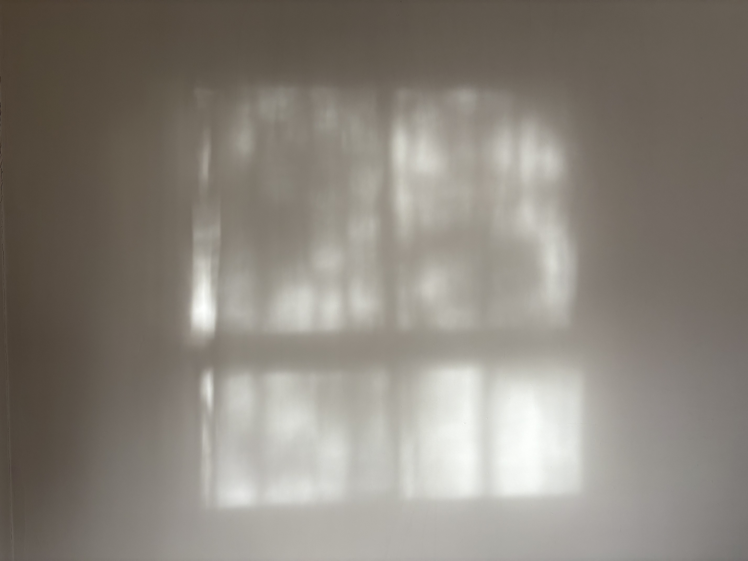IMG_7249.png