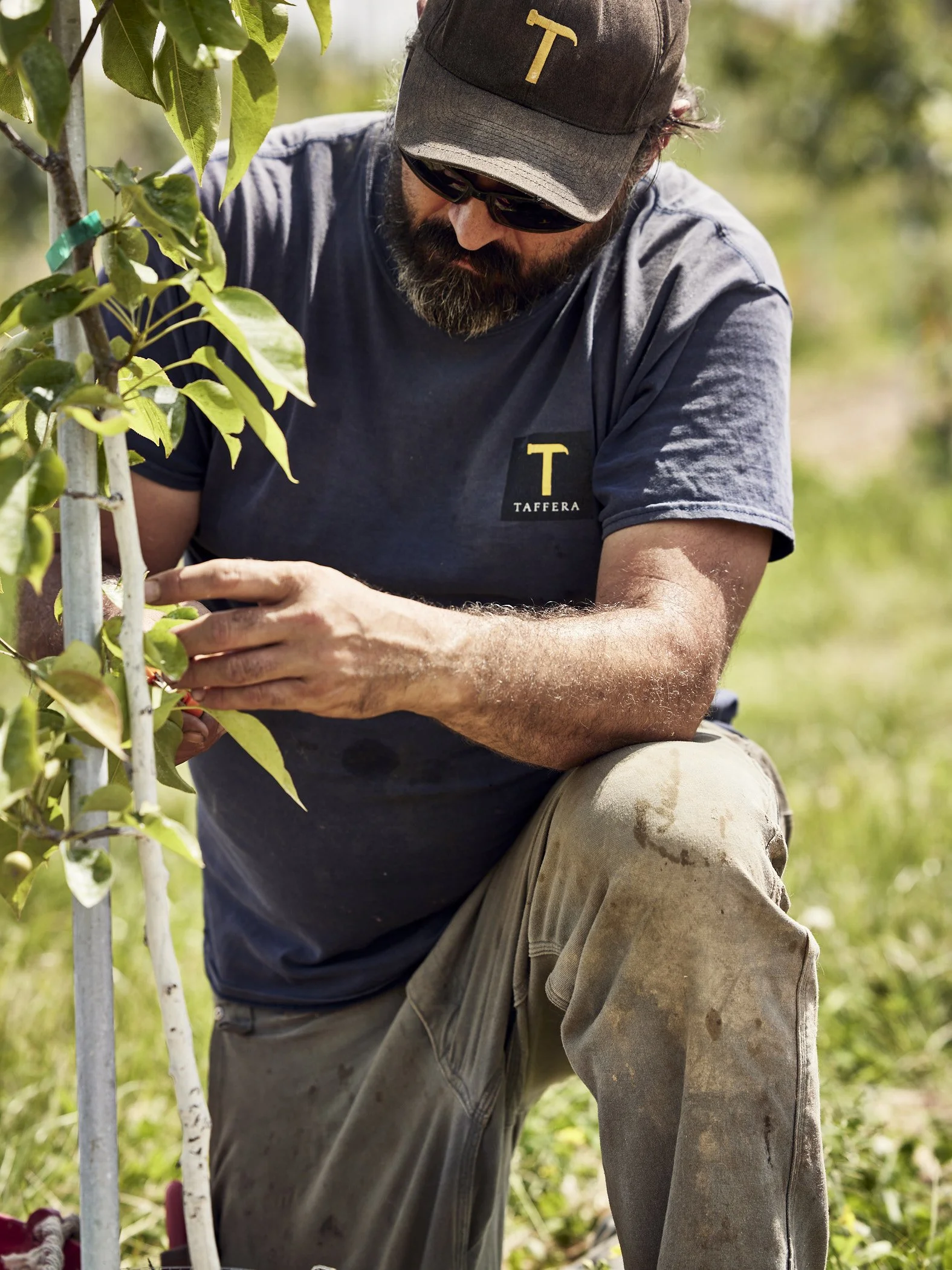 210601_TafferaFarms_0024.jpg
