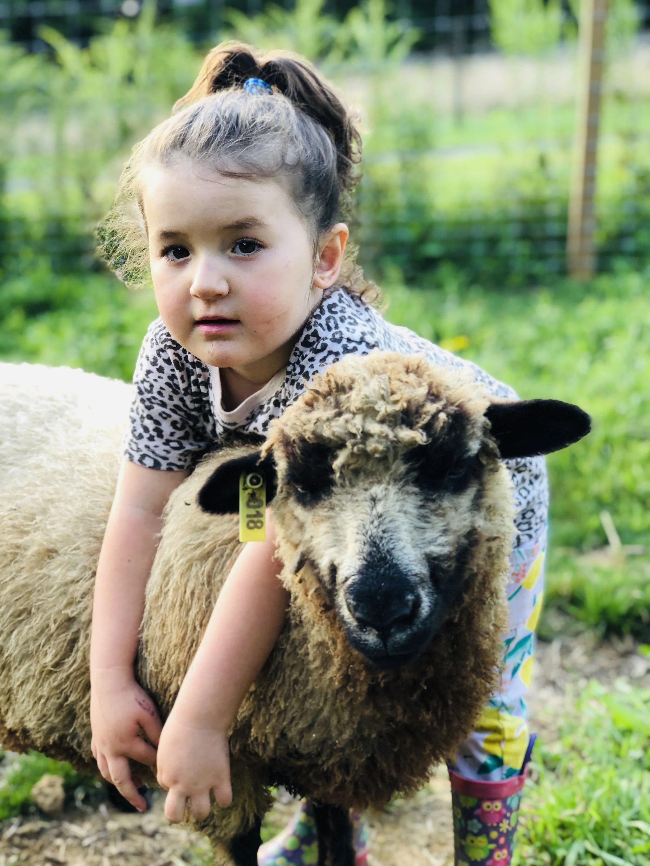Soft Wool, Strong Roots: Our Collaboration with Farm Aid Holiday 2024