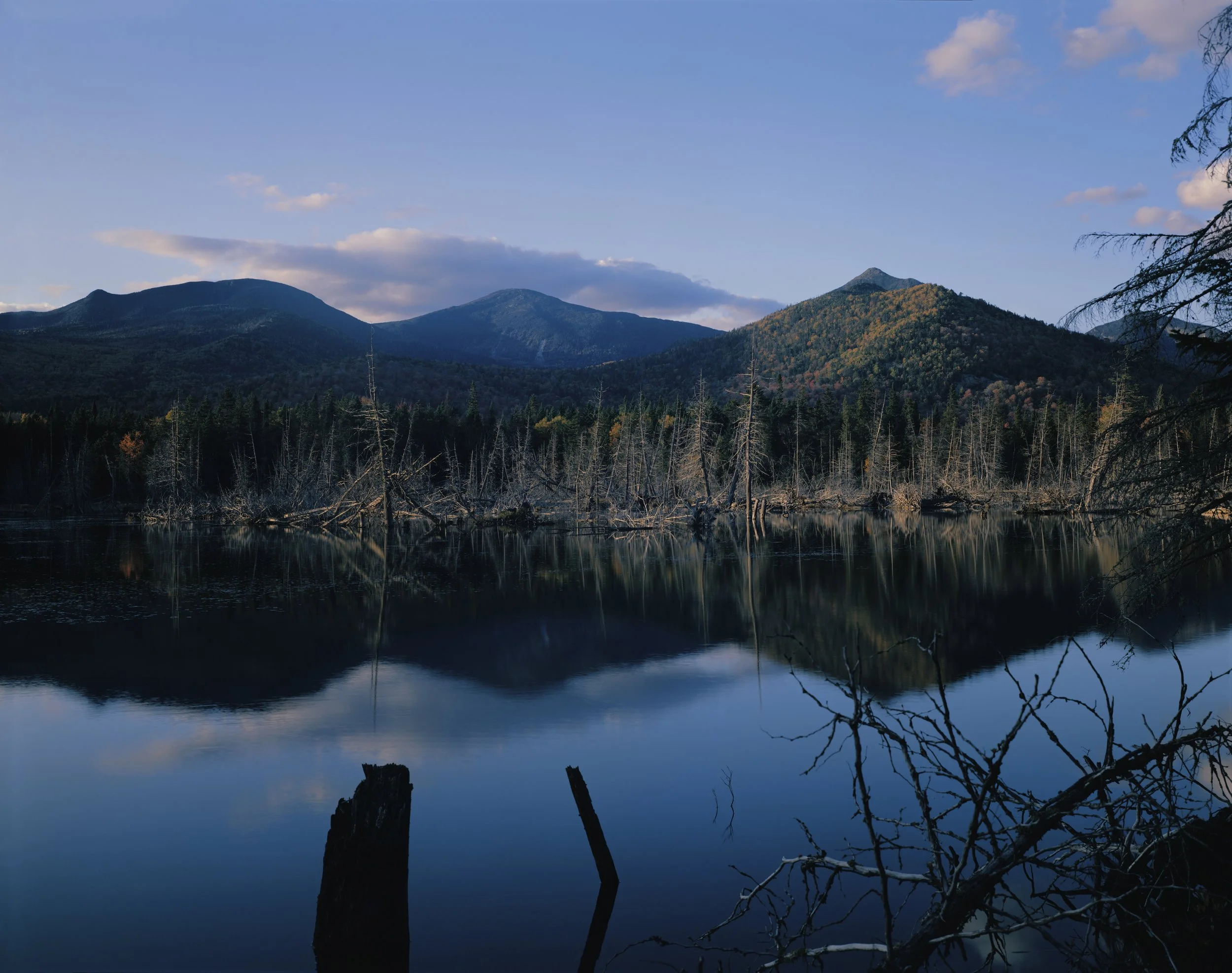 Marcy Stillwater test 347mg.jpg