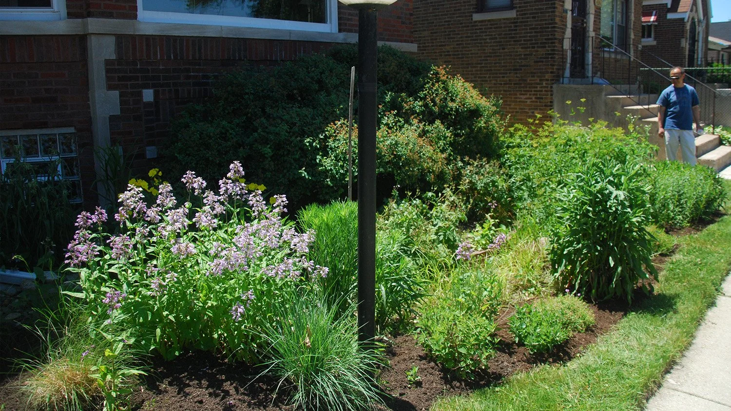 Green infrastructure