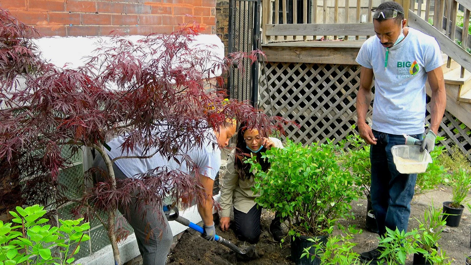 landscaping4.jpg