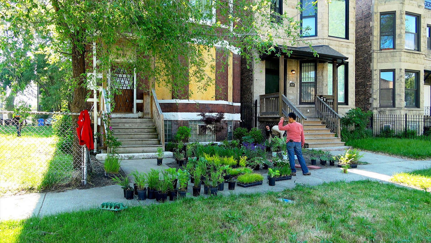 landscaping8.jpg