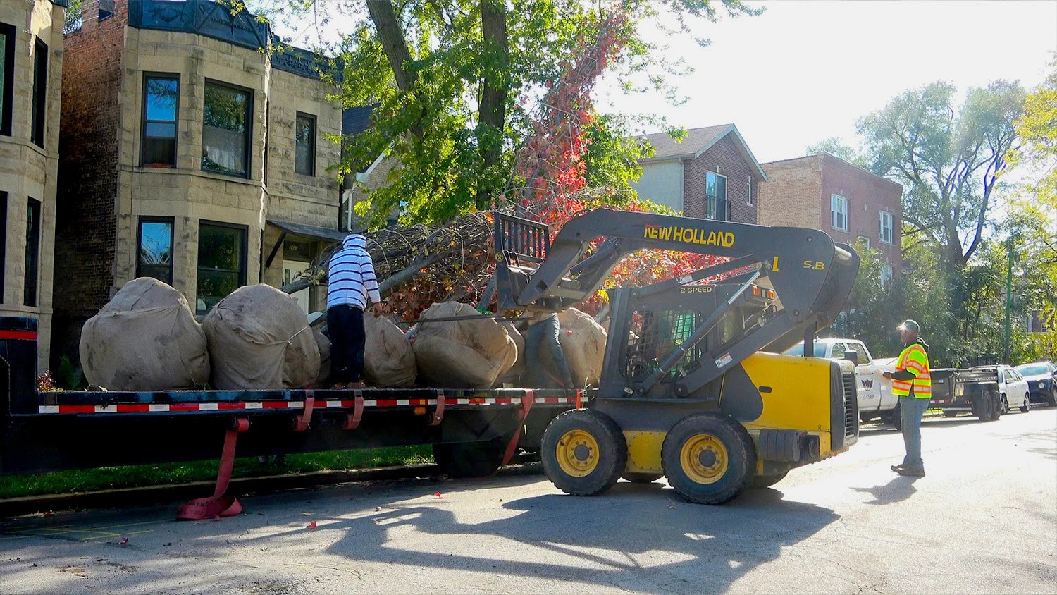 tree-delivery3.jpg