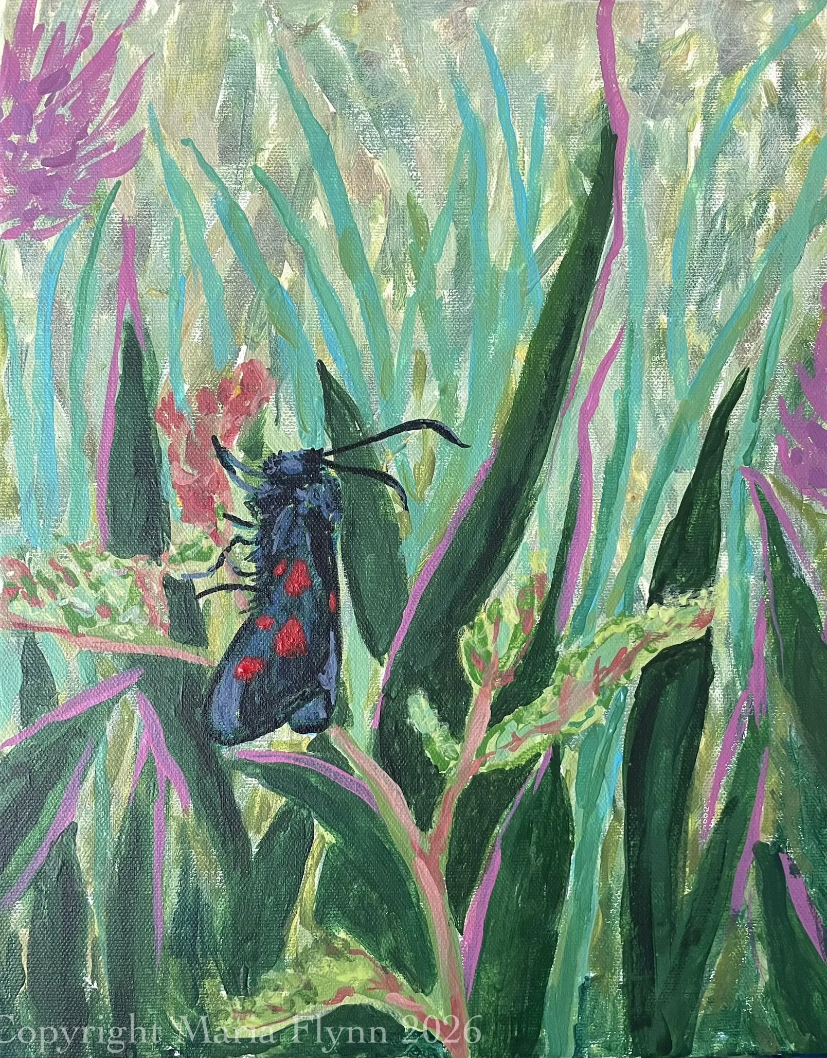 Burnet moth. Acrylics on a 11x14” stretched deep edge canvas. 