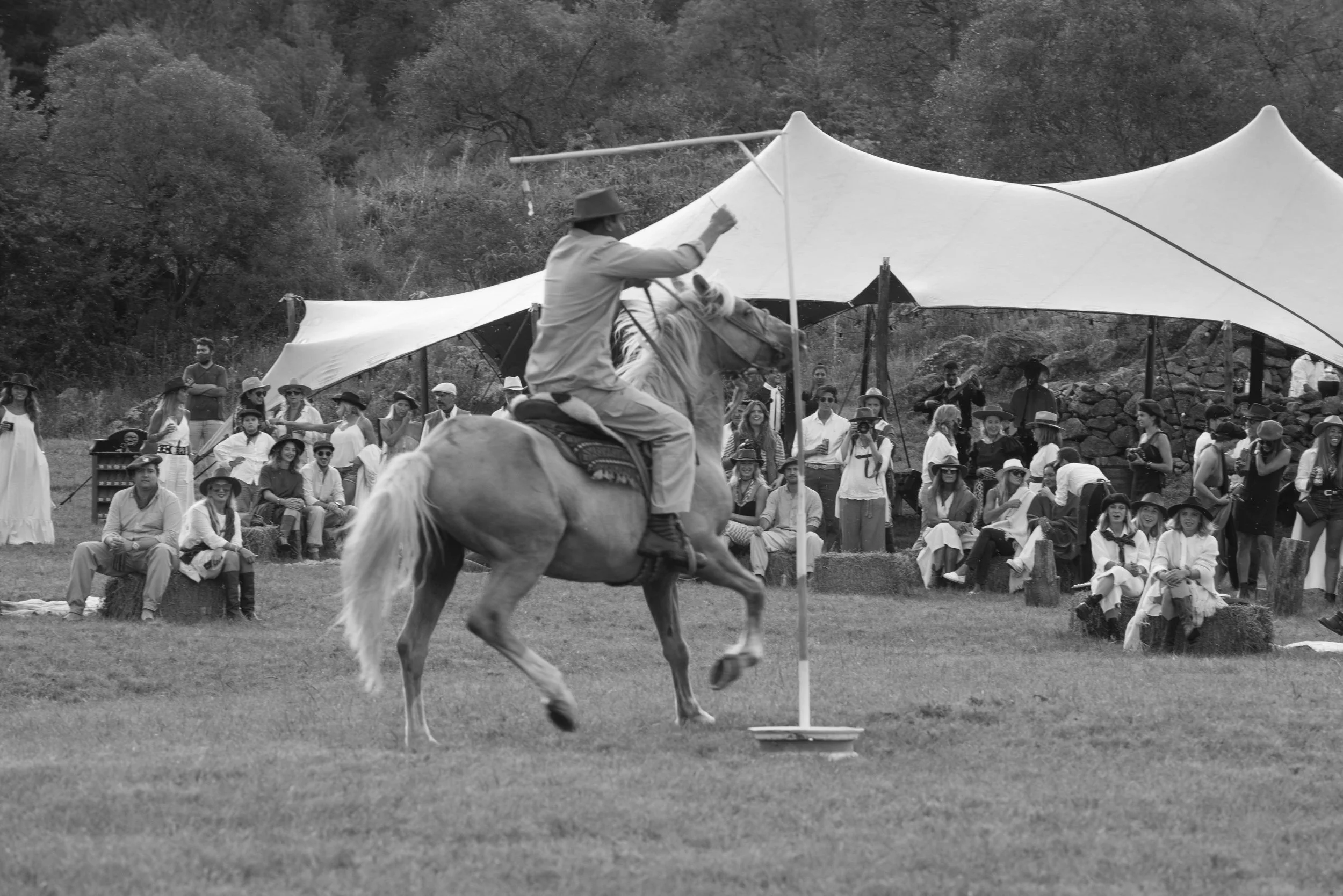 Mis 30 gauchos56.JPG