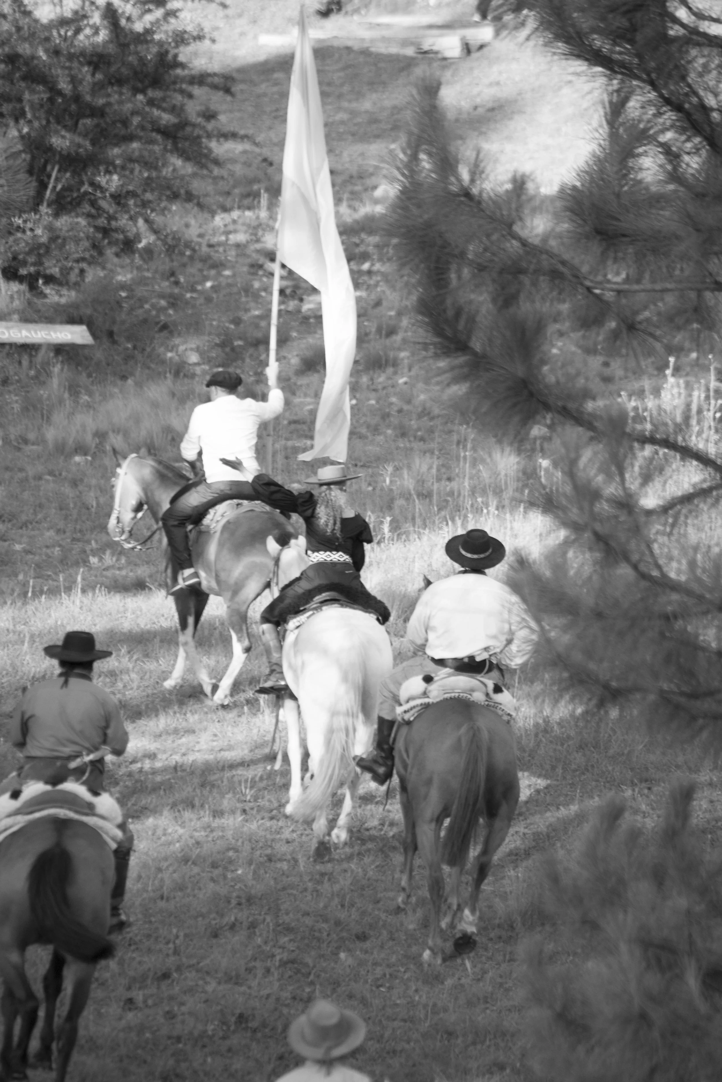 mis 30 gauchos