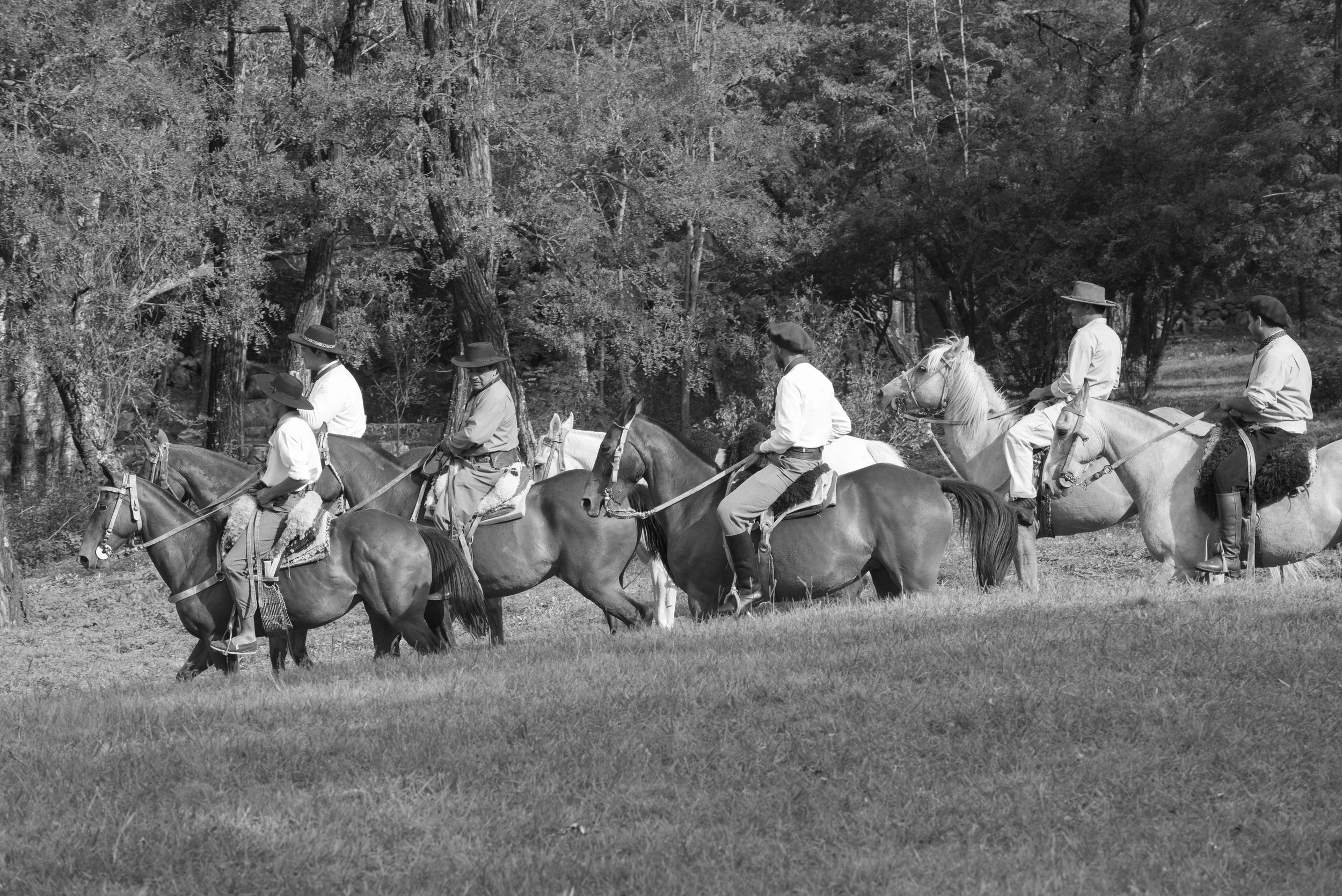 Mis 30 gauchos17.JPG