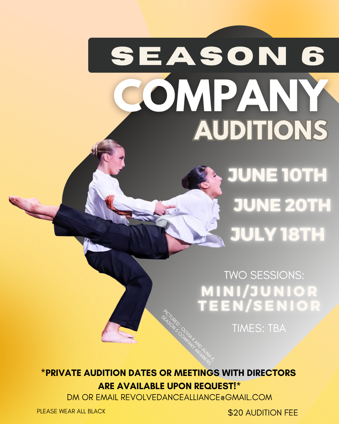 Company Auditions - Season 6