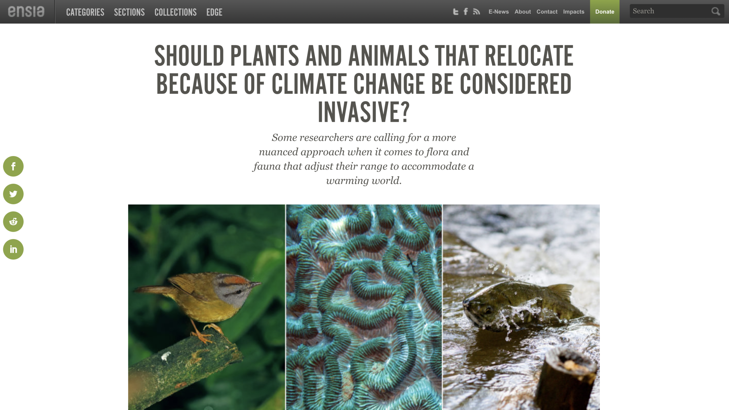 Should Plants and Animals that Relocate Because of Climate Change be Considered Invasive?