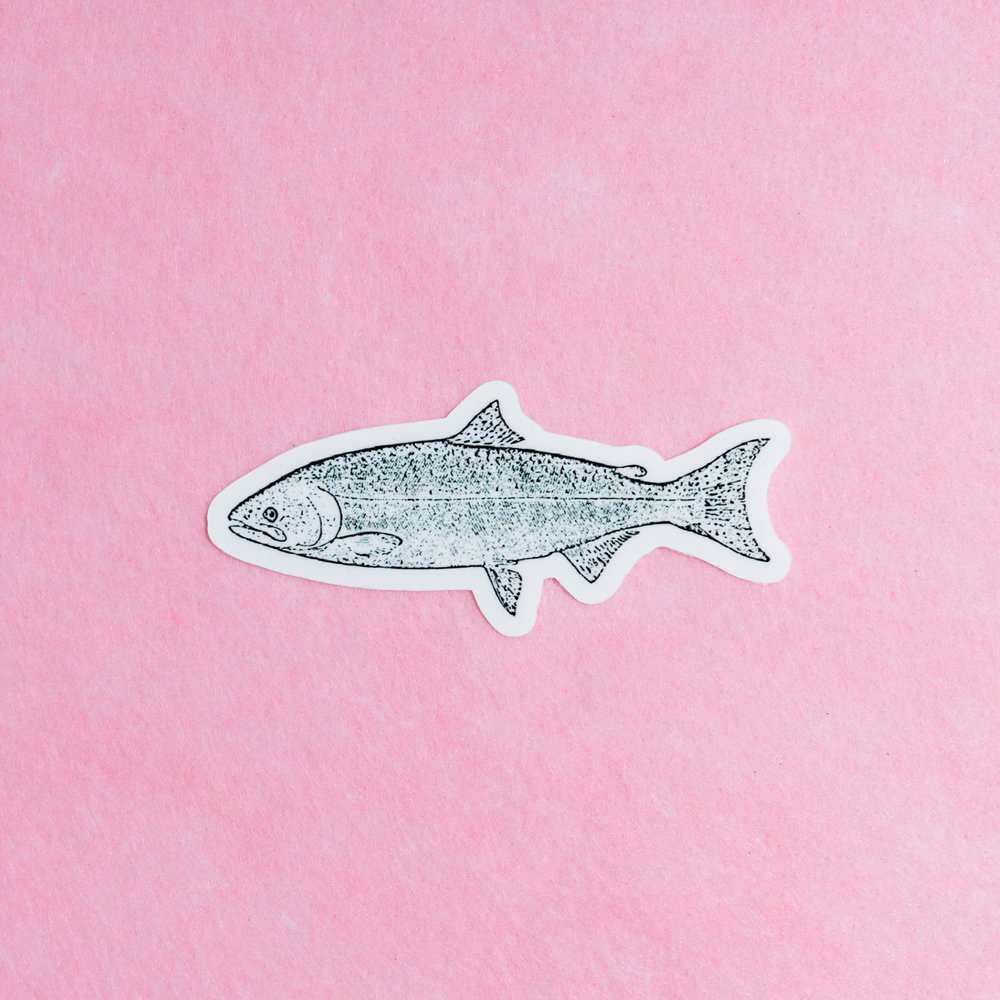 Salmon Linocut Block Print — Our Wild Puget Sound