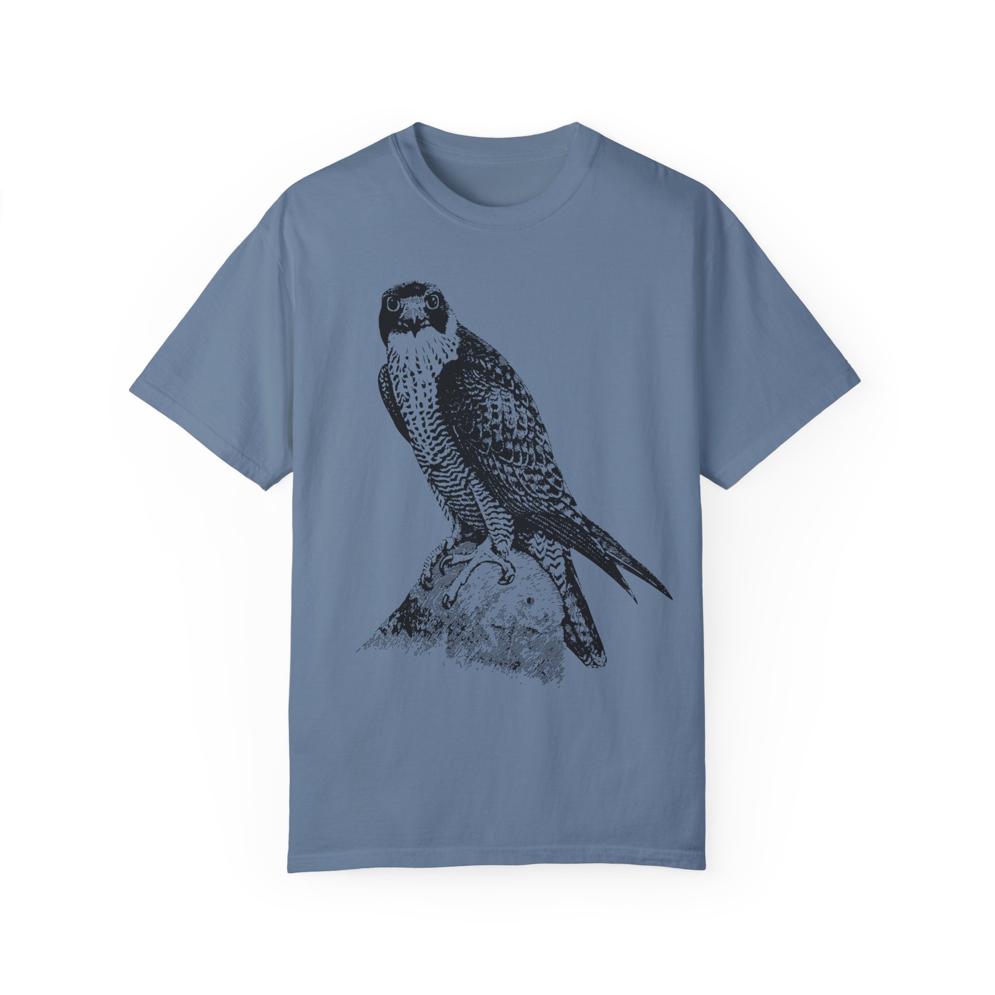 Peregrine_Tee_Blue.jpeg