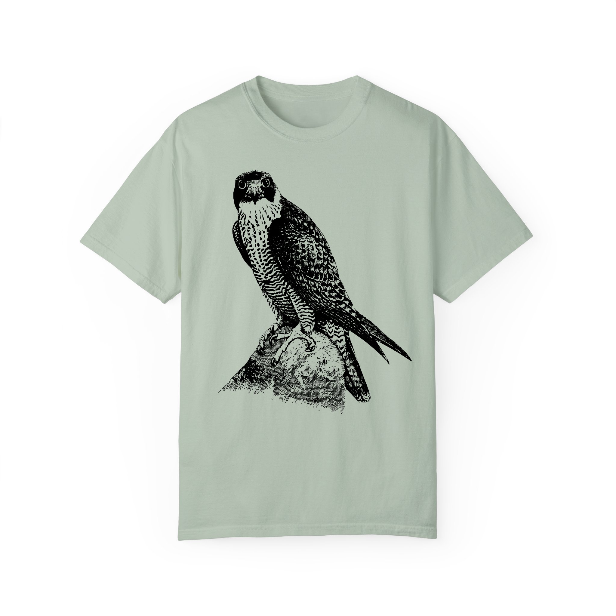 Peregrine_Tee_LtGreen.jpeg
