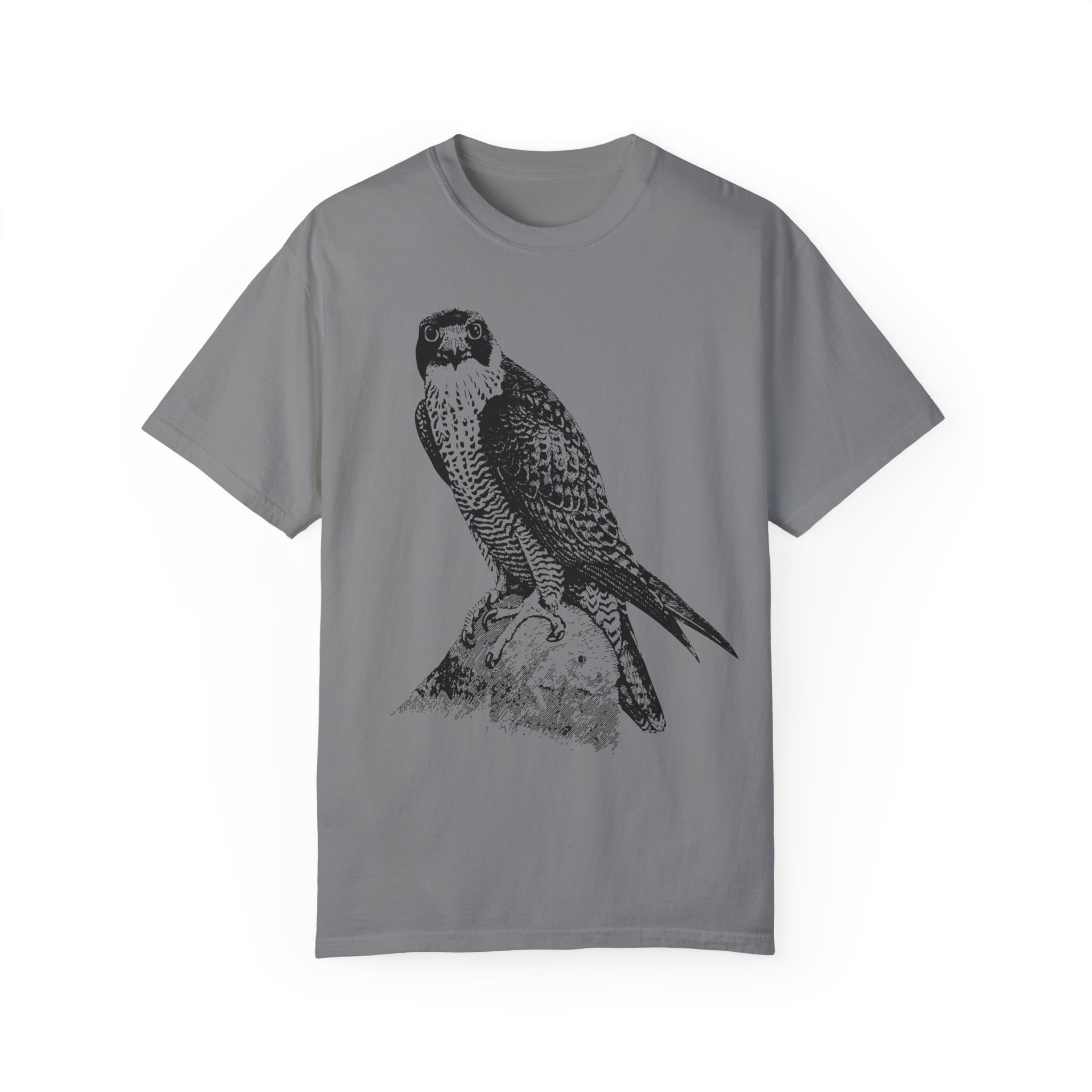 Peregrine_Tee_Grey.jpeg